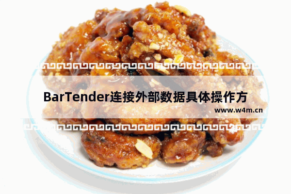 BarTender连接外部数据具体操作方法