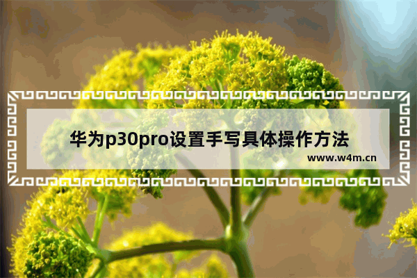 华为p30pro设置手写具体操作方法