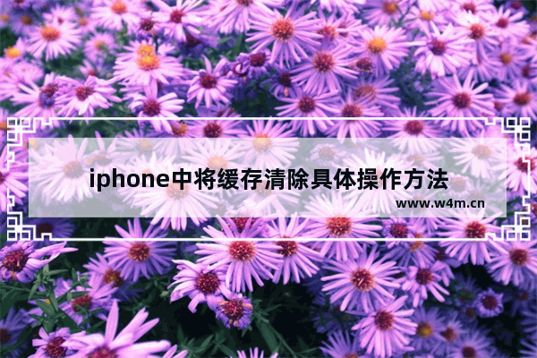 iphone中将缓存清除具体操作方法