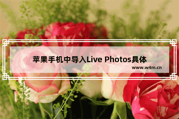 苹果手机中导入Live Photos具体操作方法