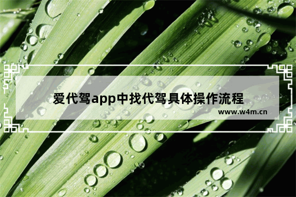 爱代驾app中找代驾具体操作流程