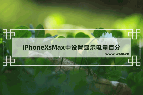 iPhoneXsMax中设置显示电量百分比具体操作方法