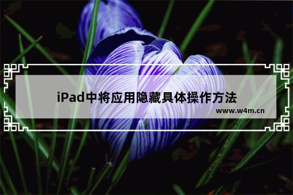 iPad中将应用隐藏具体操作方法