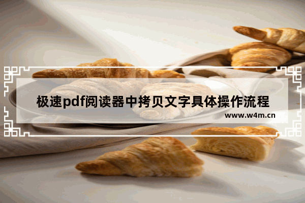 极速pdf阅读器中拷贝文字具体操作流程