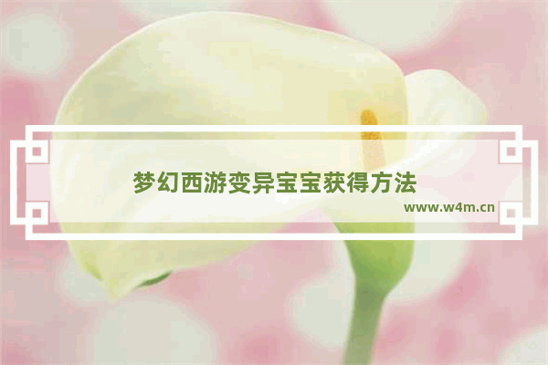 梦幻西游变异宝宝获得方法