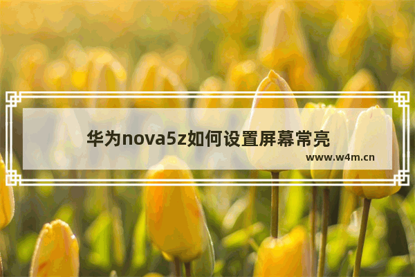 华为nova5z如何设置屏幕常亮