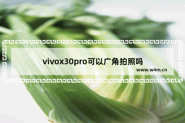 vivox30pro可以广角拍照吗