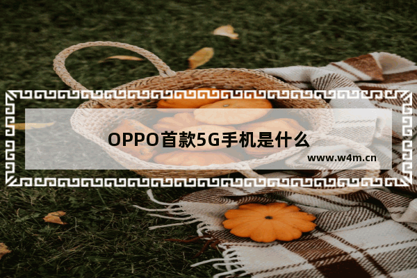 OPPO首款5G手机是什么