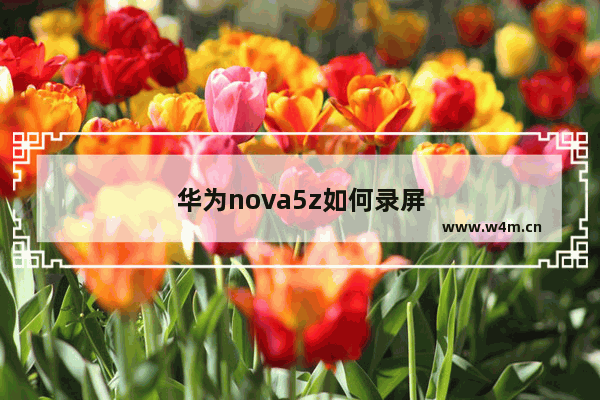 华为nova5z如何录屏