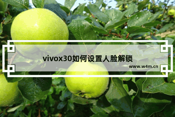 vivox30如何设置人脸解锁