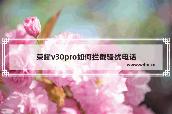 荣耀v30pro如何拦截骚扰电话