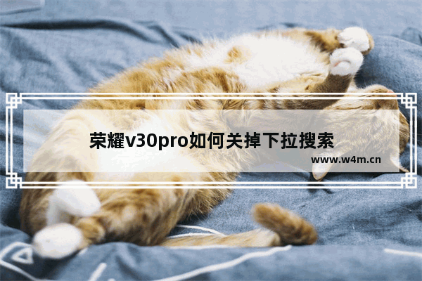 荣耀v30pro如何关掉下拉搜索