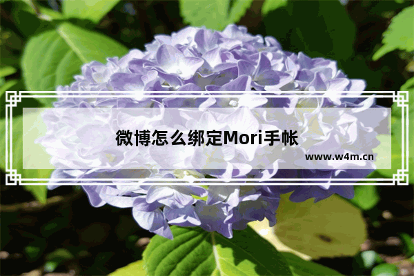 微博怎么绑定Mori手帐