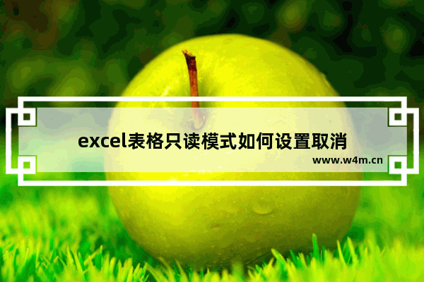 excel表格只读模式如何设置取消