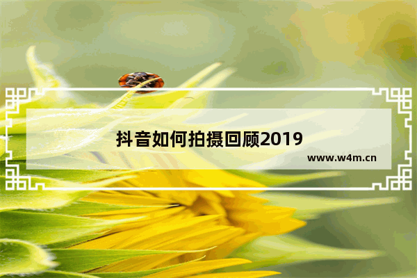 抖音如何拍摄回顾2019