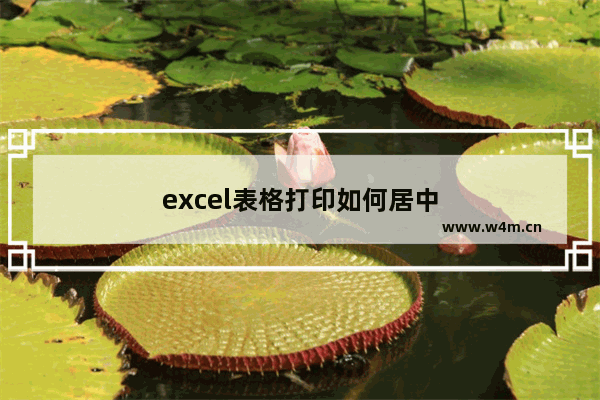 excel表格打印如何居中