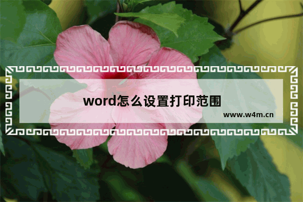 word怎么设置打印范围