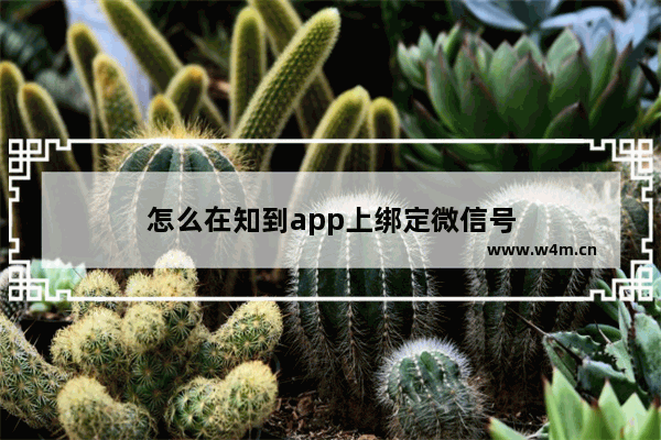 怎么在知到app上绑定微信号