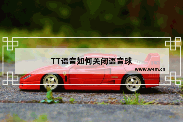 TT语音如何关闭语音球