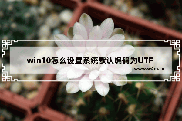 win10怎么设置系统默认编码为UTF 8