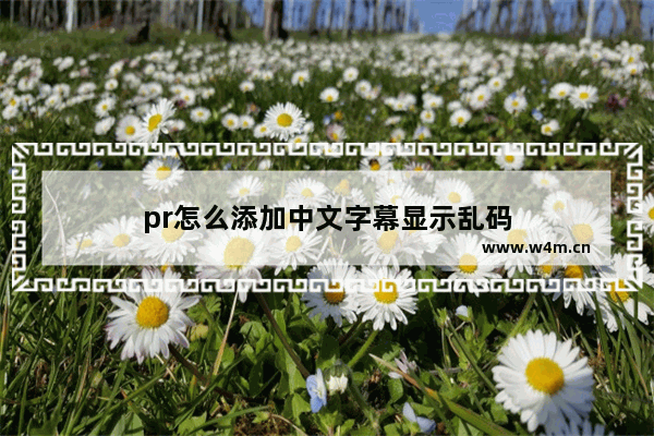 pr怎么添加中文字幕显示乱码