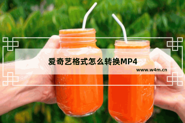 爱奇艺格式怎么转换MP4