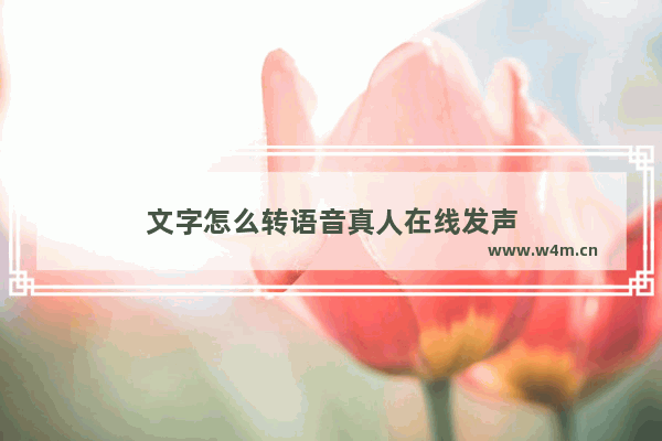 文字怎么转语音真人在线发声