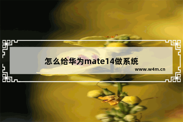 怎么给华为mate14做系统