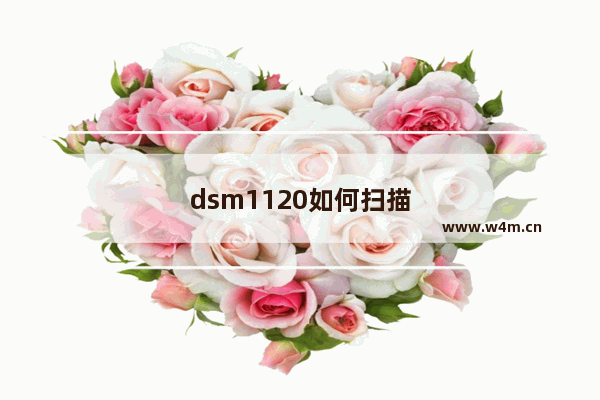 dsm1120如何扫描