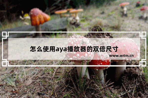 怎么使用aya播放器的双倍尺寸