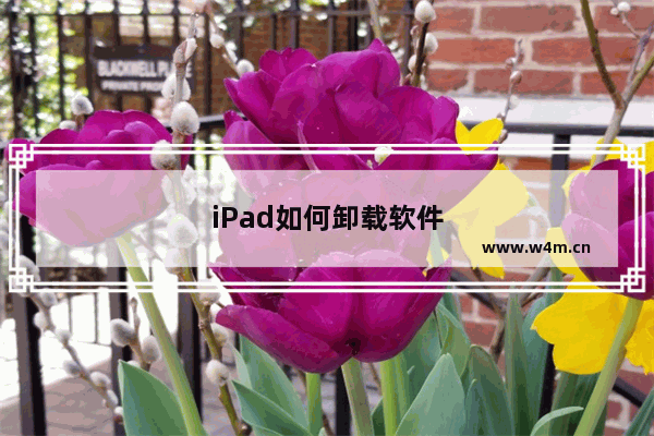 iPad如何卸载软件