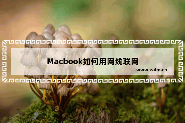 Macbook如何用网线联网