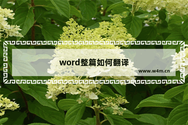 word整篇如何翻译