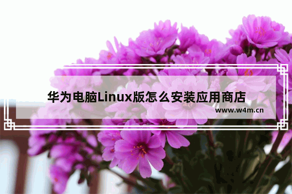 华为电脑Linux版怎么安装应用商店