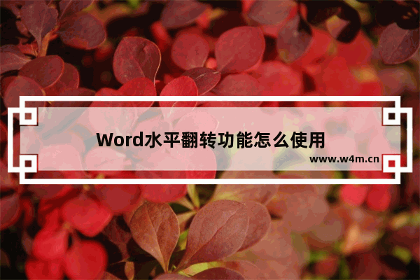 Word水平翻转功能怎么使用