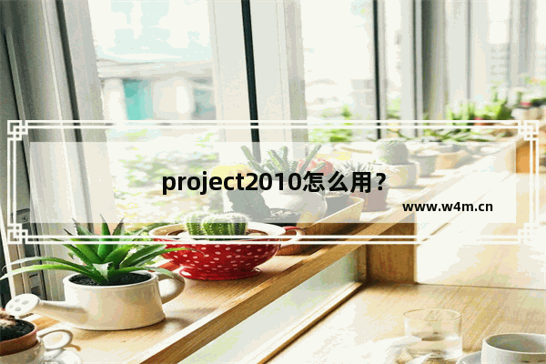 project2010怎么用？