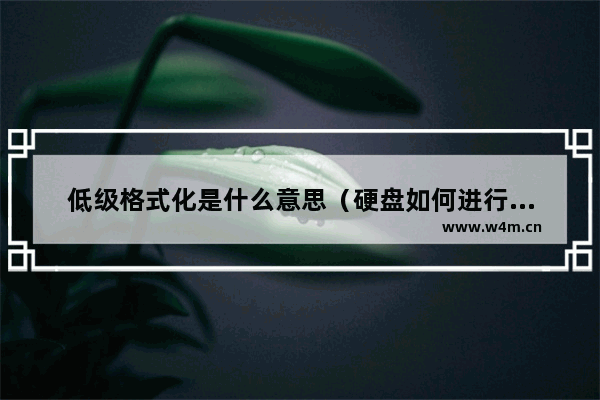 低级格式化是什么意思（硬盘如何进行低级格式化）