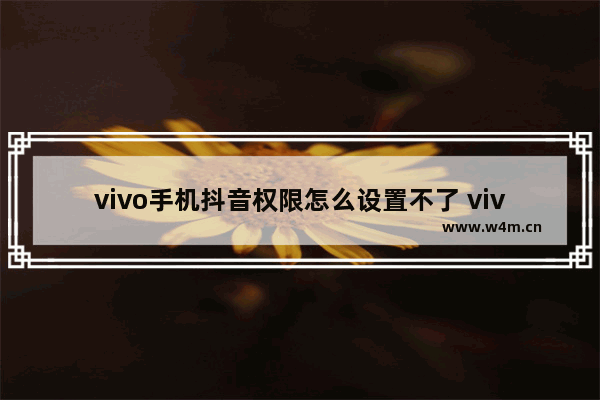 vivo手机抖音权限怎么设置不了 vivo的权限设置流程