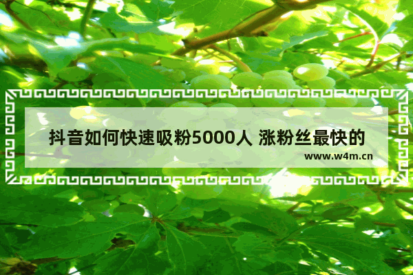 抖音如何快速吸粉5000人 涨粉丝最快的方法