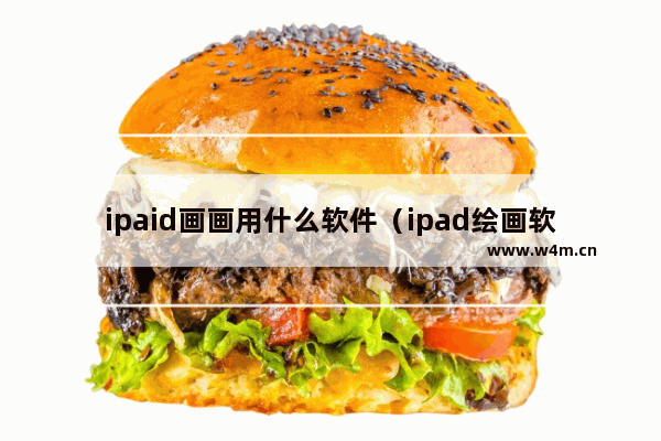 ipaid画画用什么软件（ipad绘画软件哪个好）