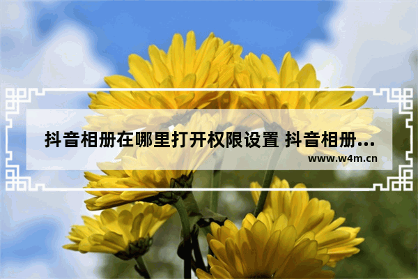 抖音相册在哪里打开权限设置 抖音相册权限被禁用设置回来的方法