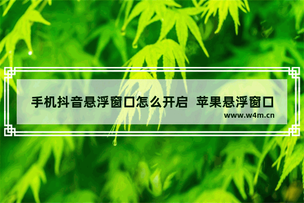 手机抖音悬浮窗口怎么开启  苹果悬浮窗口设置方法