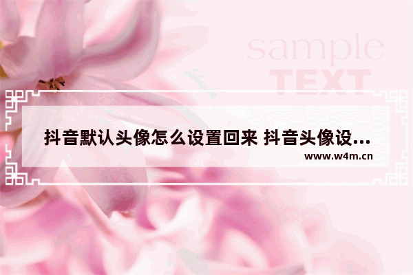 抖音默认头像怎么设置回来 抖音头像设置权限修改方法