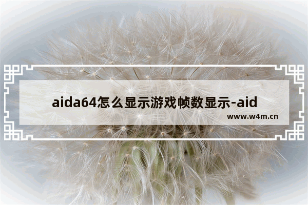 aida64怎么显示游戏帧数显示-aida64显示游戏帧数显示的方法