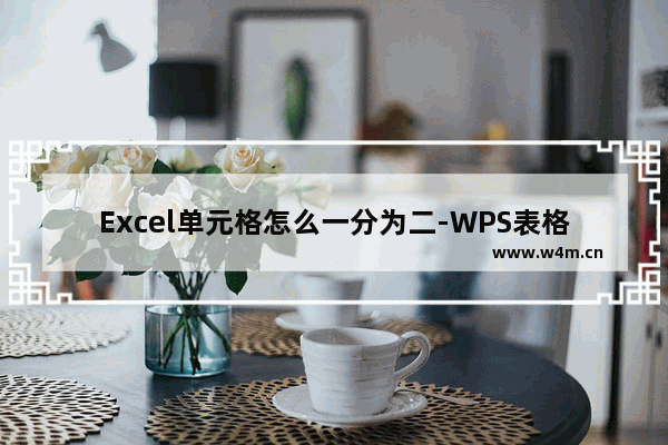 Excel单元格怎么一分为二-WPS表格插入表头斜线的方法