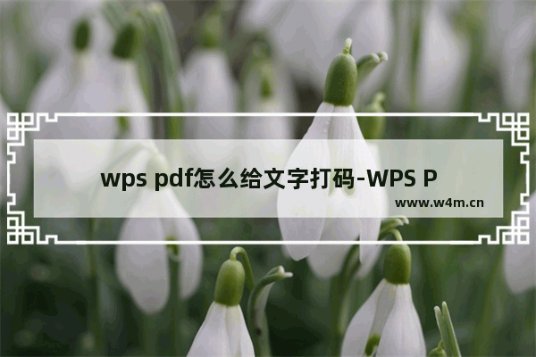 wps pdf怎么给文字打码-WPS PDF给文字打马赛克遮盖的方法