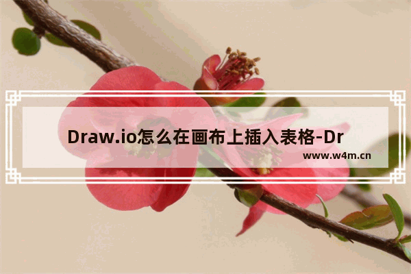 Draw.io怎么在画布上插入表格-Draw.io在画布上绘制表格的方法