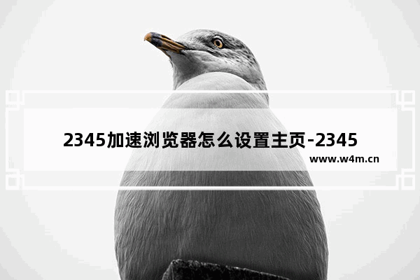 2345加速浏览器怎么设置主页-2345加速浏览器设置百度为主页的方法