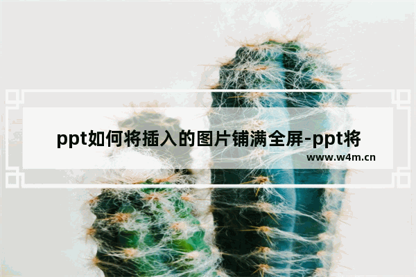 ppt如何将插入的图片铺满全屏-ppt将插入的图片设置成幻灯片背景的方法