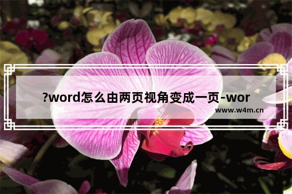 ?word怎么由两页视角变成一页-word双页显示变成单页显示的设置方法